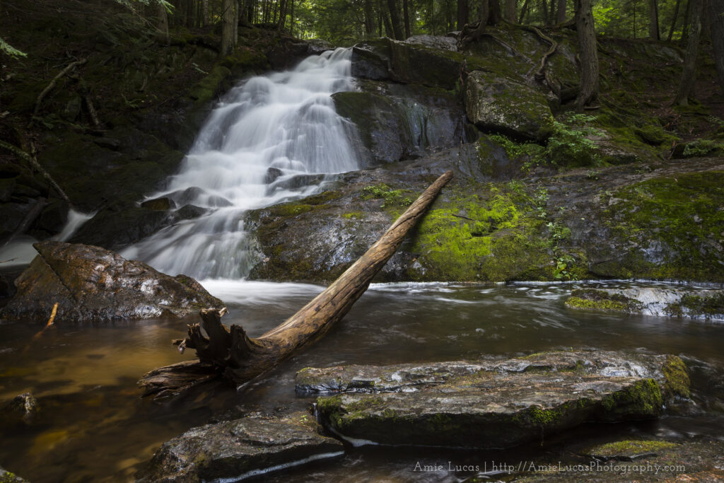 A single waterfall drop with a large fallen tree beside it